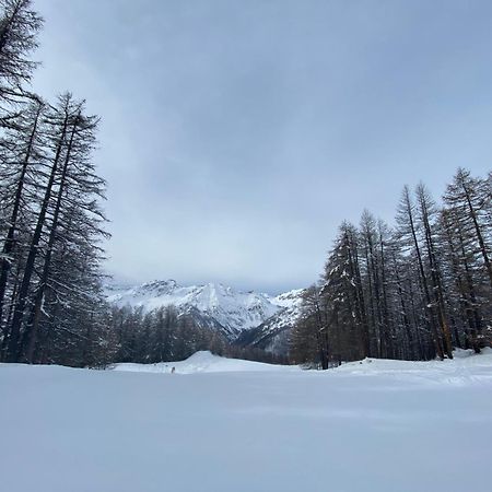 Les Granges D'Arvieux - Queyras - Appart 3Ch./6P. 外观 照片